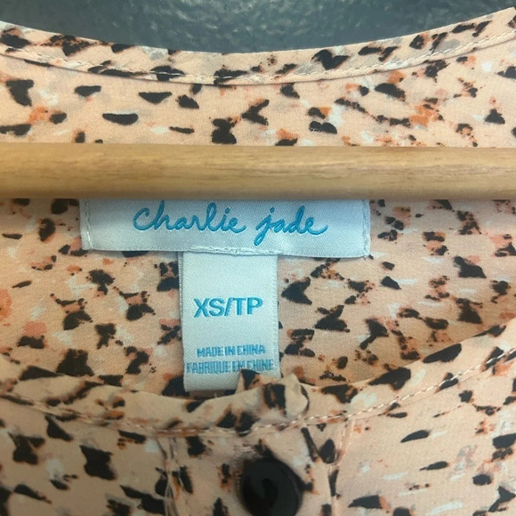 Charlie Jade silk dress XS 2 piece with beautiful  pink slip near new condition - Picture 7 of 14